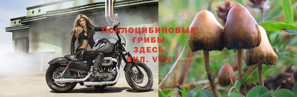 эйфоретик Аркадак