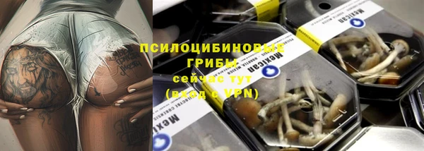 эйфоретик Аркадак